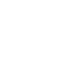 Vital (vital.io) Logo