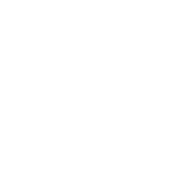 Doist Logo